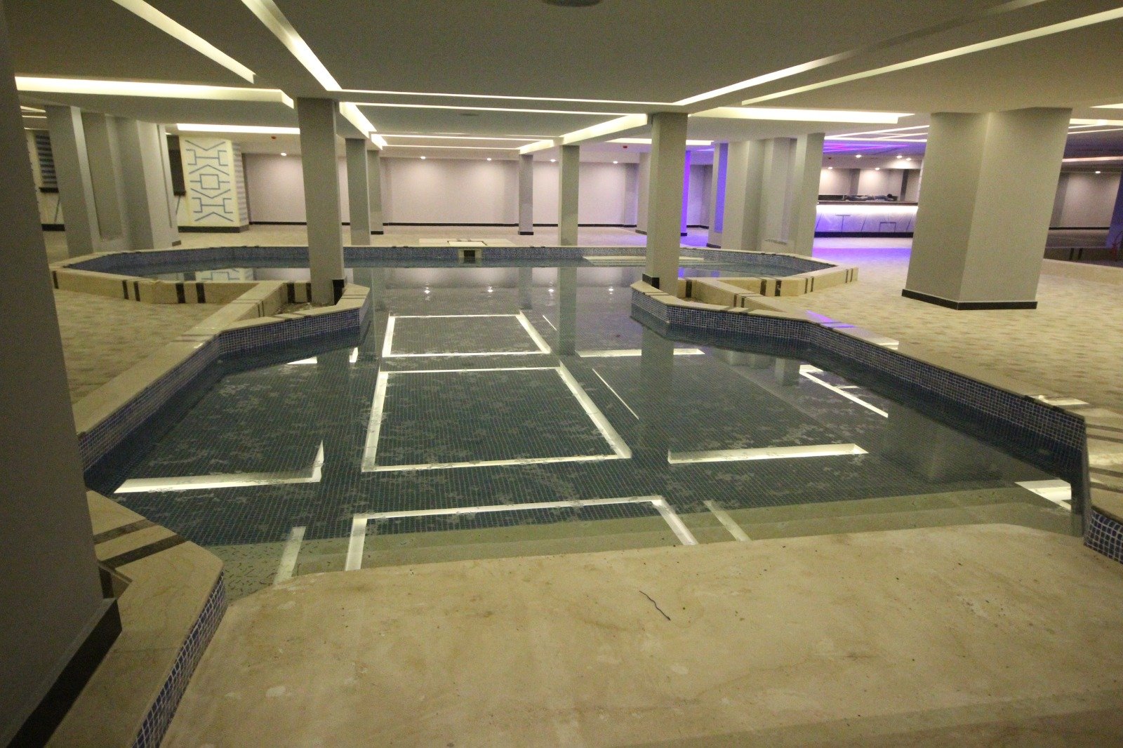 Public and hospitality swimming pool